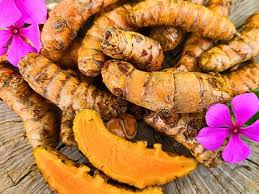 Turmeric root